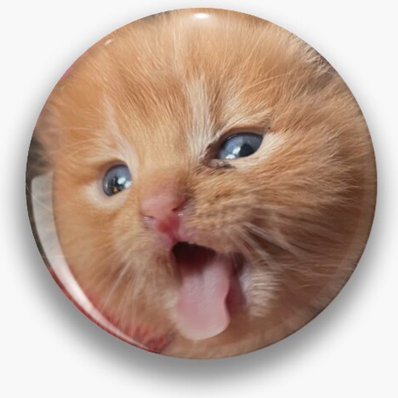 Blech Pin, Blech Pin — Accessoires de mode