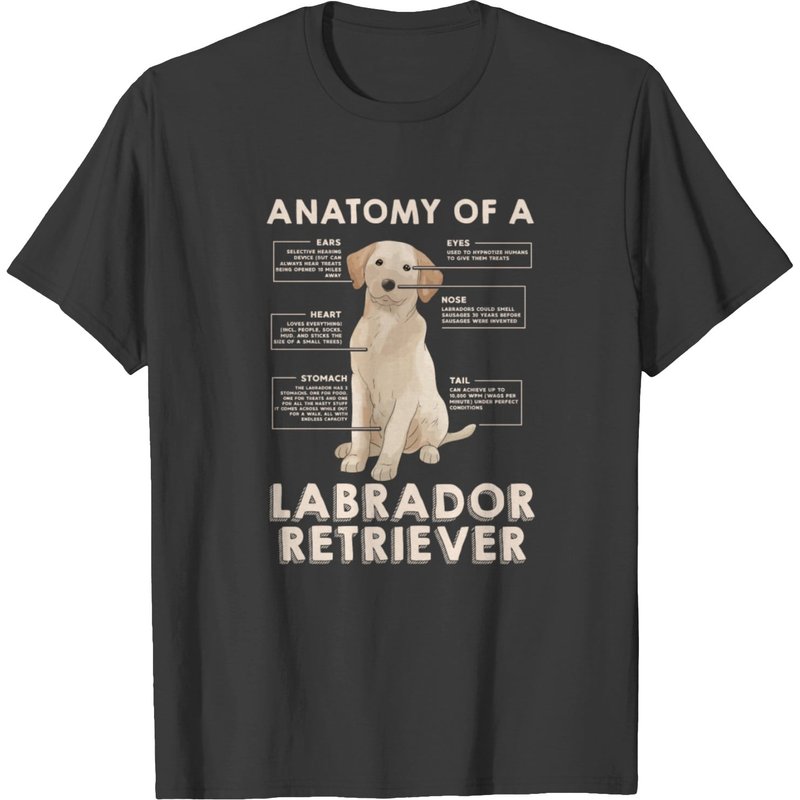 Funny Anatomy Of A Labrador Retriever Graphic With T-shirt — T-shirts pour hommes