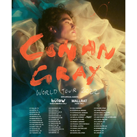 Conan Gray World Tour 2022 Classic Poster