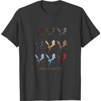 House Of The Dragon All Dragons T-shirt — T-shirts pour hommes