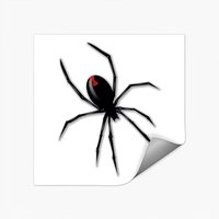 Scary Black Widow Spider Sticker