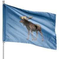 Moose House Flags — Decorative Flags