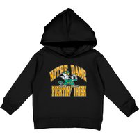 80s Notre Dame Fightin' Irish Burnout Tee Vintage Unisex Graphic University Athletic Kids Pullover Hoodies — Sweats à capuche pour hommes