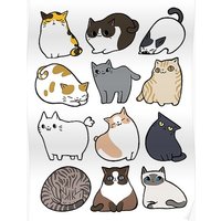Cats Cats Cats Poster