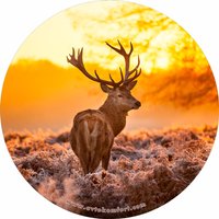 Deer Made With Your Size Soft Spare Wheel Tire Cover