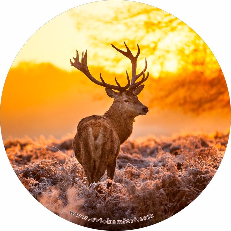Deer Made With Your Size Soft Spare Wheel Tire Cover — Accessoires pour camions