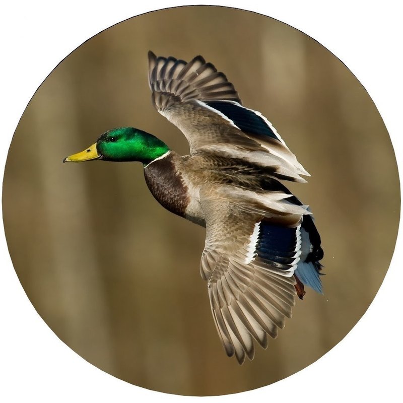 Duck Made With Your Size Soft Spare Wheel Tire Cover — Truck Accessories