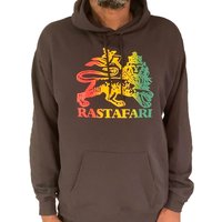 Lion Of Judah Rastafari Pullover Hoodie Red Gold Green | Rasta Hoodie — Sweats à capuche pour hommes