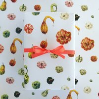 Pumpkins And Gourds Wrapping Paper
