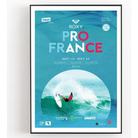 2014 Roxy Pro France Surfing Competition Vintage Surfing Poster