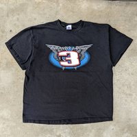 Vintage Dale Earnhardt Sr. No. 3 God Needed A Driver T-shirt — T-shirts pour hommes