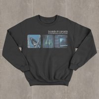 Boards Of Canada In A Beautiful Place Out In The Country Rock Band Sweatshirt — Sweats à capuche pour hommes