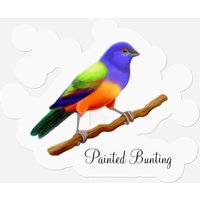Painted Bunting Stickers