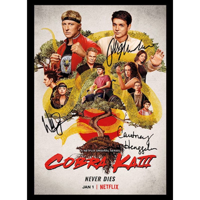 Cobra Kai Original Netflix Poster