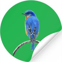 Bluebird Stickers — Autocollants et stickers