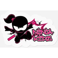 Ninja Kidz Tv, Ninja Kidz Tv