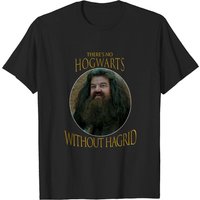 Rip Robbie Coltrane Shirt, Hagrid Shirt
