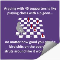 No Convincing 45 Supporters — Stickers & Decals