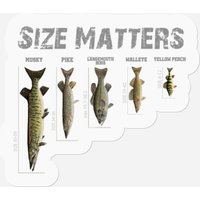 Fish Size Matters - Fishing Funny