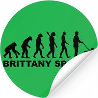 Brittany Spaniel