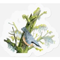 Nuthatch On Tree - Animal Lovers Bird Design — Autocollants et stickers
