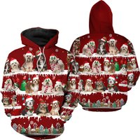Havanese Snow Christmas 3d Hoodie