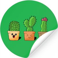 Cactus Pots