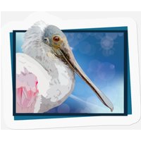 Roseate Spoonbill Sticker — Autocollants et stickers