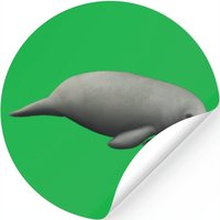 Manatee