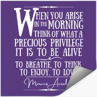 Marcus Aurelius Historical Quote