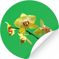 Pale Yellow Orchids — Stickers & Decals