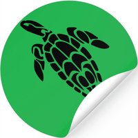 Turtle, Turtle