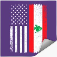 Lebanese American Flag, Lebanese
