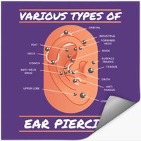 Various Types Of Ear Piercing Earring