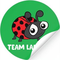 Team Ladybug Funny Ladybug