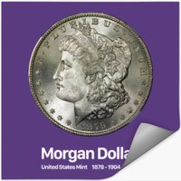 Morgan Dollar - Coin Collector Collecting