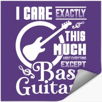 Bass Guitar Bass Guitar Lover