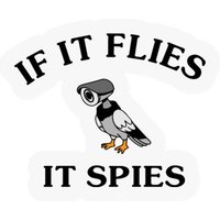 If It Flies It Spies