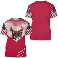 Lynyrd Skynrd Patriotic Tee — Mens T Shirts