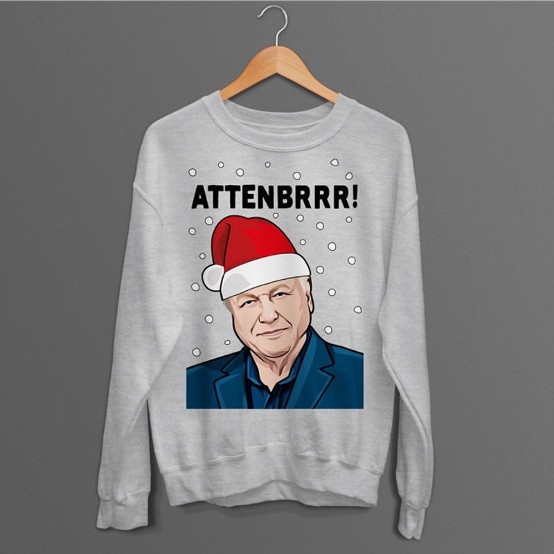 David Attenborough Christmas Jumper — Chandails pour hommes