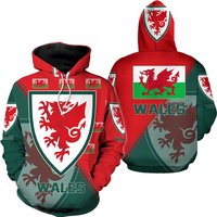 Wales National Soccer Team, Qatar World Cup 2022 Champions Soccer Team 3d Hoodie