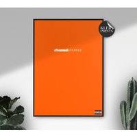 Frank Ocean - Channel Orange - Album Art Poster - Musem Grade Paper