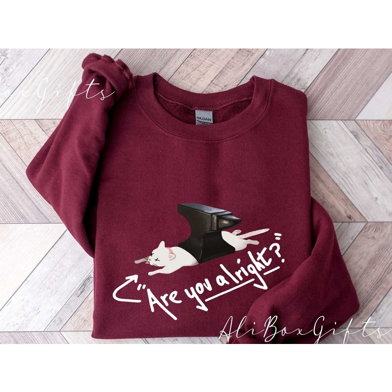 Lovejoy Are You Alright Sweatshirt, The Lazy Cat T-shirt — Sweats à capuche pour hommes