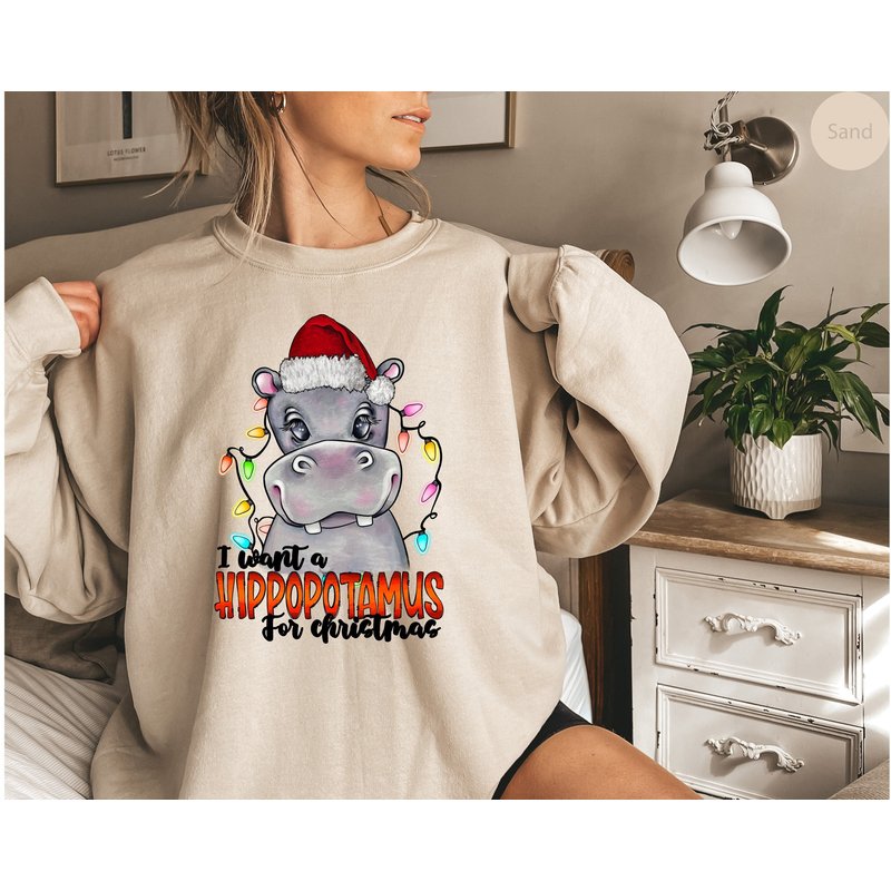 I Want A Hippopotamus For Christmas Sweatshirt | Cute Christmas — Sweats à capuche pour hommes