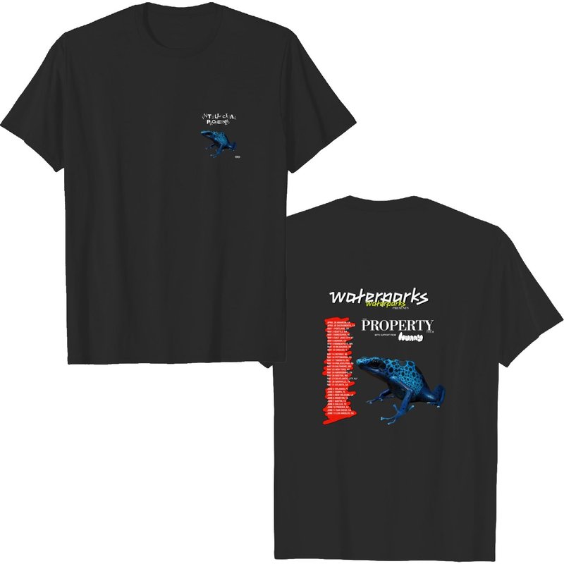 Waterparks Band Shirt, Waterparks Intellectual Property Tour Shirt