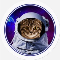 Space Cat Astronaut In Galaxy Funny Cats Stickers