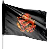 Scary Dragon House Flags Dragon Chinese Fantasy Animal Gift — Drapeaux décoratifs