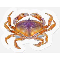 Dungeness Crab - Crab - Stickers — Stickers & Decals
