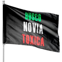 Busco Novia Toxica - Sarcastic Mexican Cinco De Mayo Gifts House Flags — Decorative Flags