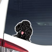 Peeking Poodle Car Sticker / Realistic Poodle Dog